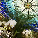 Grand Dino Hotel